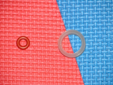 De Longhi Wassertank Dichtungen O Ring und Formdichtung mit Rippen
