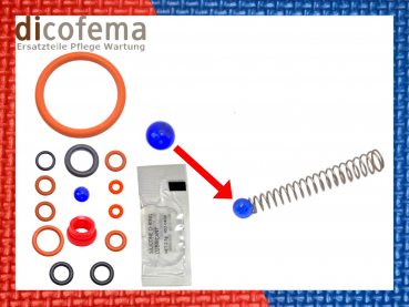 Saeco Incanto Intelia XSmall komplett Set Dichtungssatz Reparaturkit