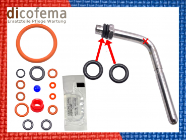 Saeco Incanto Intelia XSmall komplett Set Dichtungssatz Reparaturkit