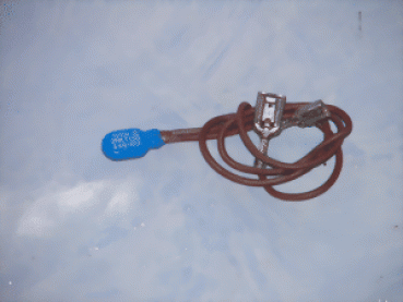 Thermopille de Longhi