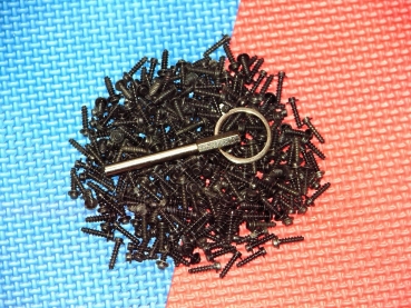 Ovalkopf Ovalbit Oval Bit mit 10 Stück Ovalkopfschrauben für Jura