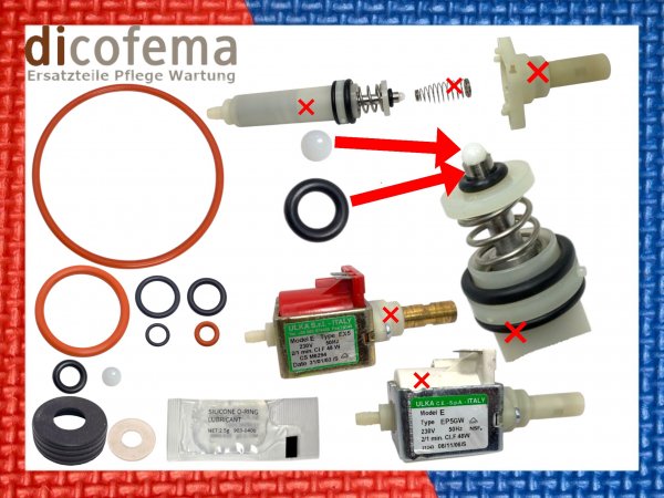 Saeco Family Superautomatica Universal Set Brühgruppe Pumpe Boiler Wassertank