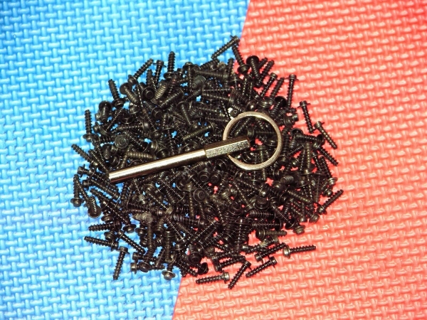 Ovalkopf Ovalbit Oval Bit mit 10 Stück Ovalkopfschrauben für Jura