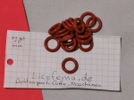 Dichtung: 9,19 x 2,62 - Rot