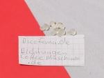 DeLonghi Dichtung Pilzförmig aus Silikon - 1786282 -