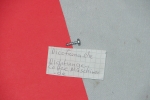 Jura Schraube am Auslaufventil