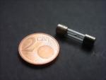 Feinsicherung / Sicherung Glas 8 Amp�re fuer die Elektronik